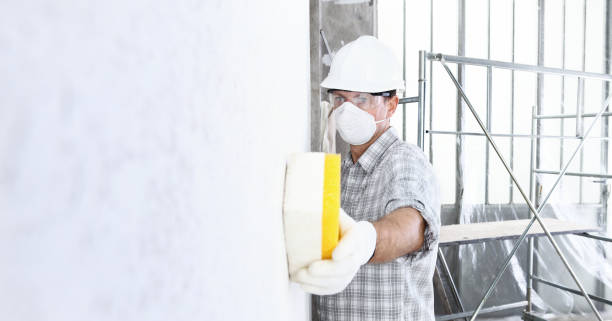 Mold Odor Removal Services in Valatie, NY